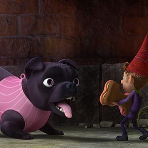 Fotoğraf Pişiriciler