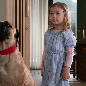 Fotoğraf Playing With Fire