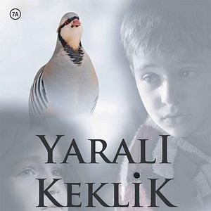 Fotoğraf Yaralı Keklik