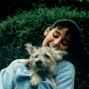 Fotoğraf The Stepfather