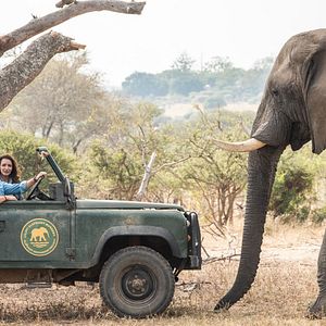 Fotoğraf Holiday In The Wild