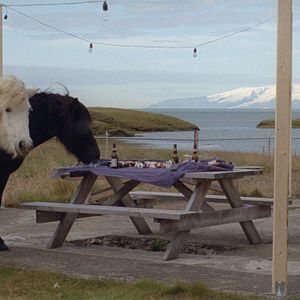 Fotoğraf Hvítur, Hvítur Dagur