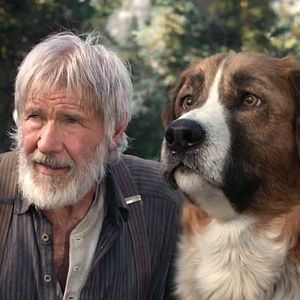 Fotoğraf Vahşetin Çağrısı