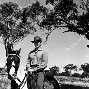Fotoğraf Peter Graves