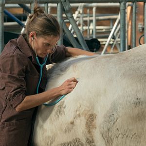 Fotoğraf Noémie Schmidt