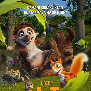 Fotoğraf Kirpi Latte ve Büyülü Taş