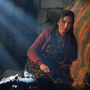 Fotoğraf Zümrüdüanka