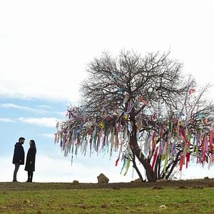 Fotoğraf Zümrüdüanka