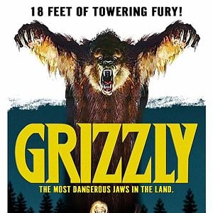 Fotoğraf Grizzly