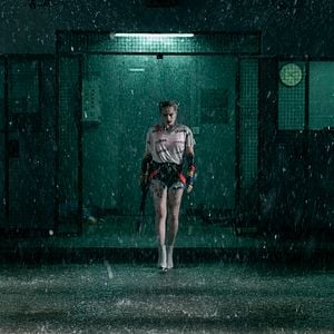 Fotoğraf Yırtıcı Kuşlar