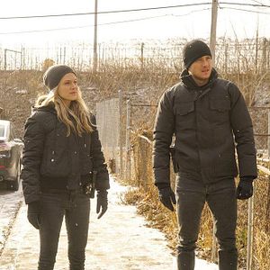 Fotoğraf Tracy Spiridakos