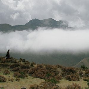 Fotoğraf Lunana: A Yak in the Classroom