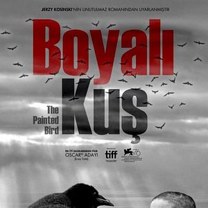 Fotoğraf Boyalı Kuş