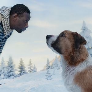 Fotoğraf Vahşetin Çağrısı