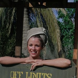 Fotoğraf Black Sheep Squadron