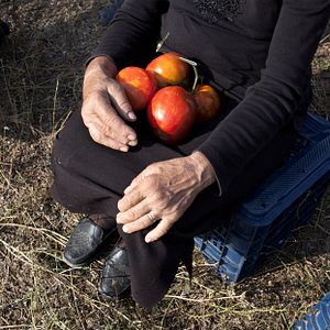 Fotoğraf When Tomatoes Met Wagner