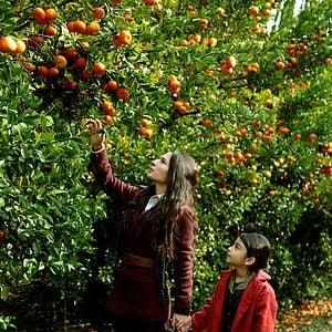 Fotoğraf Bir Zamanlar Çukurova