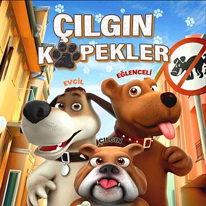 Fotoğraf Çılgın Köpekler