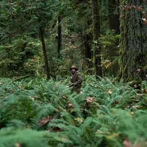 Fotoğraf İlk İnek