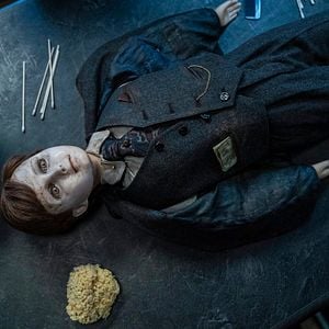 Fotoğraf Brahms: The Boy II