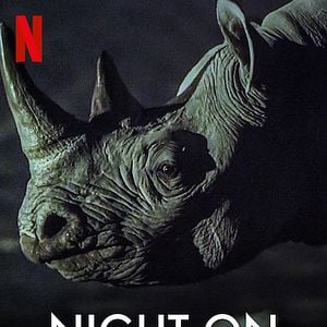 Fotoğraf Dünya'da Gece