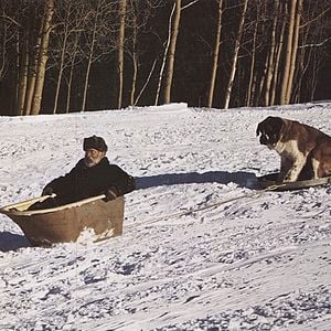 Fotoğraf Harry Morgan