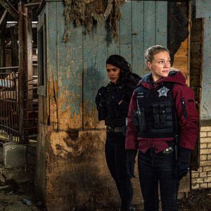 Fotoğraf Tracy Spiridakos