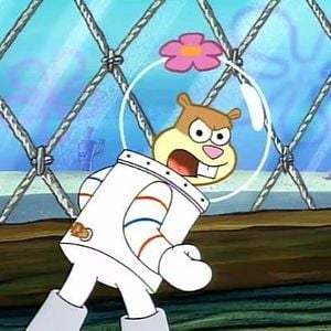 Fotoğraf SpongeBob SquarePants