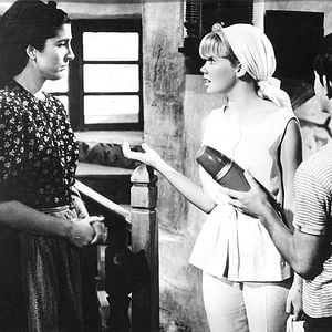 Fotoğraf The Moon-Spinners