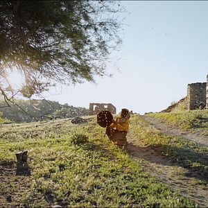Fotoğraf Bal Ülkesi