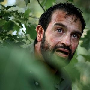 Fotoğraf Bumperkleef