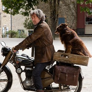 Fotoğraf François Cluzet