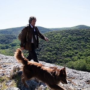 Fotoğraf François Cluzet