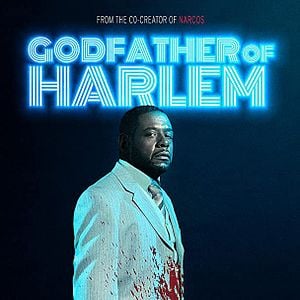 Fotoğraf Godfather of Harlem