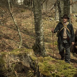 Fotoğraf Noah Schnapp