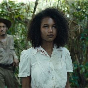 Fotoğraf Trajik Orman