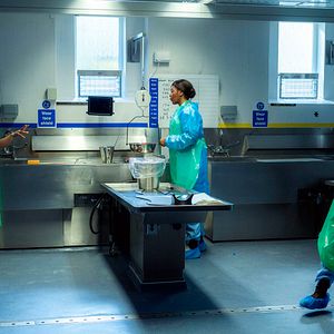 Fotoğraf Sian Reese-Williams