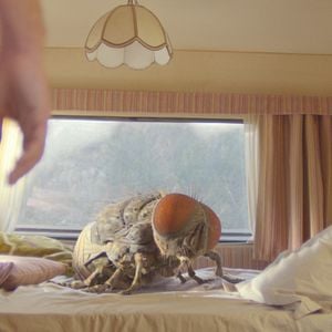 Fotoğraf Mandibules