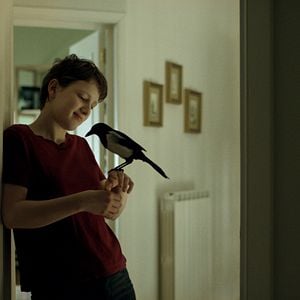 Fotoğraf Semina il vento