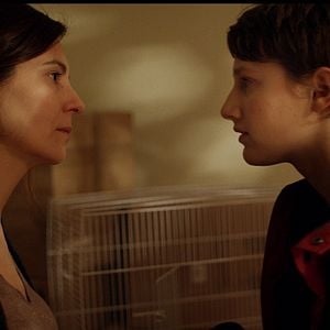 Fotoğraf Semina il vento