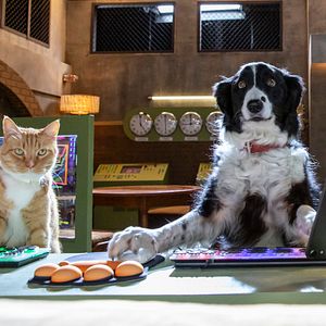 Fotoğraf Cats & Dogs 3: Paws Unite