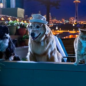 Fotoğraf Cats & Dogs 3: Paws Unite