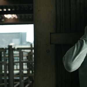 Fotoğraf Les Animaux anonymes