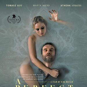 Fotoğraf A Perfect Enemy