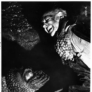 Fotoğraf Nestor Paiva