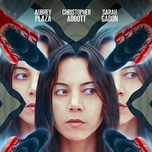 Fotoğraf Black Bear