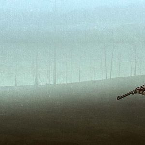 Fotoğraf The Liberator