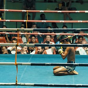 Fotoğraf Hungry Eyes