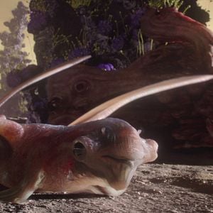 Fotoğraf Uzaylıların Dünyaları