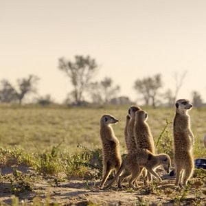 Fotoğraf Uzaylıların Dünyaları